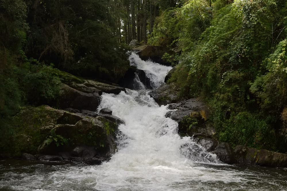 Explorar cachoeiras próximas